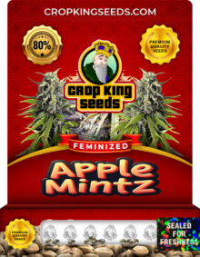 Apple Mintz Strain