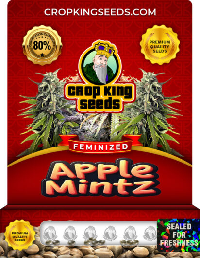 Apple Mintz Strain