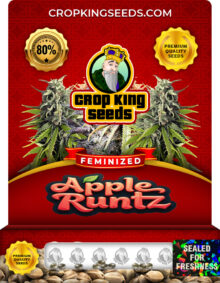 apple runtz strain
