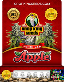 Atomic Apple Strain Feminized