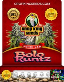Bolo Runtz Strain