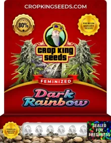 Dark Rainbow Feminized