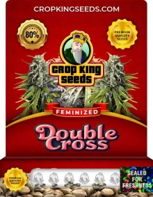 Double Cross Strain Feminized Marijuana Seeds