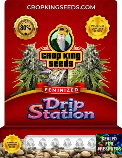 Drip Station Feminized