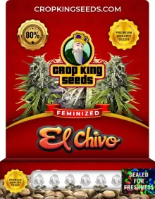 El Chivo Feminized