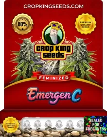 Emergen C Feminized