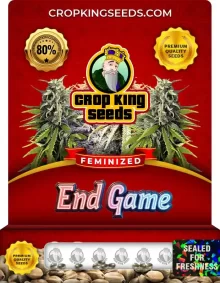 End Game Strain Feminized Marijuana Seeds
