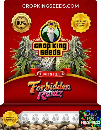 Forbidden Runtz Feminized