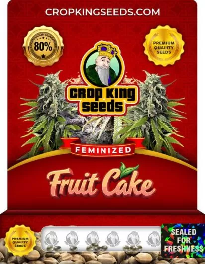 Fruit Cake Feminized