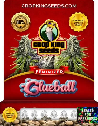 Glueball Feminized