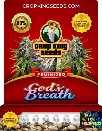 God's Breath Strain