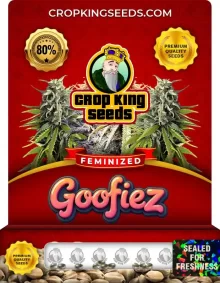 Goofiez Strain