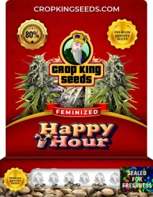 Happy Hour Feminized