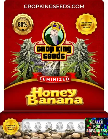 Honey Banana Feminized