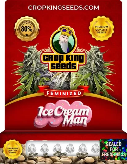 Ice Cream Man Feminized