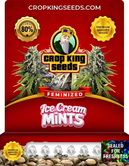 Ice Cream Mints Feminized