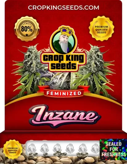 Inzane Feminized