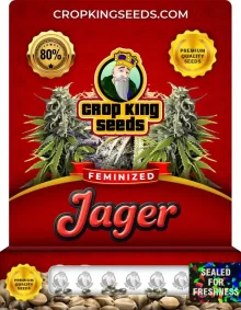 Jager Feminized