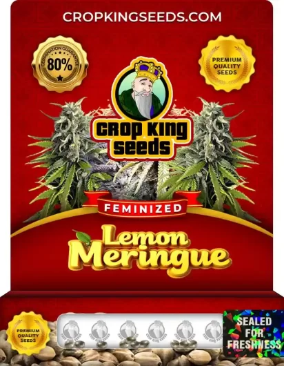 Lemon Meringue Strain