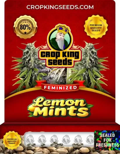 Lemon Mints Strain