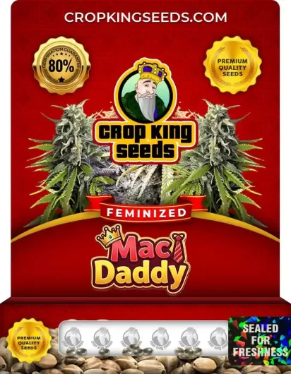 Mac Daddy Feminized