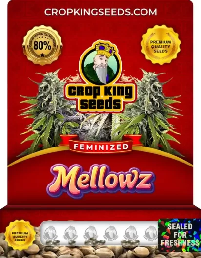 Mellowz Strain