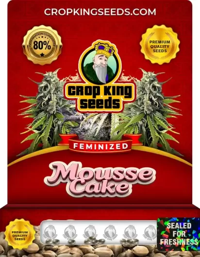 Mousse Cake Feminized