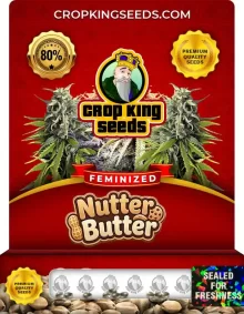 Nutter Butter Feminized