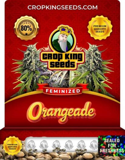 Orangeade Feminized
