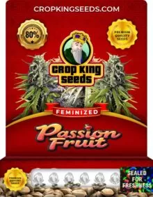 Passion Fruit Feminized