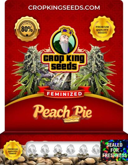 Peach Pie Feminized