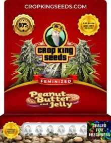 Peanut Butter and Jelly Feminized