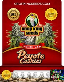 Peyote Cookies Strain