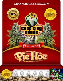Pie Hoe Feminized