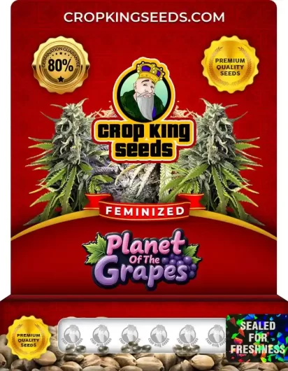 Planet of the Grapes Strain