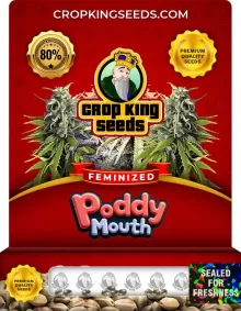 Poddy Mouth Feminized
