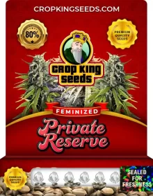 Private Reserve Feminized