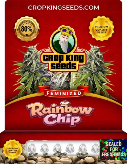 Rainbow Chip Strain