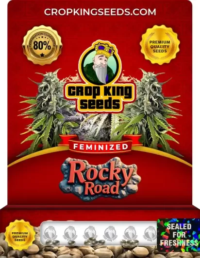 Rocky Road Feminized