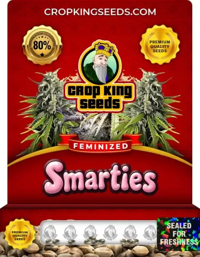 Smarties Feminized