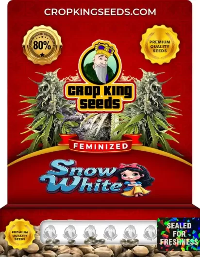 Snow White Feminized