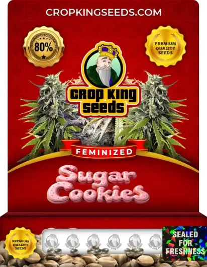 Sugar Cookies Strain