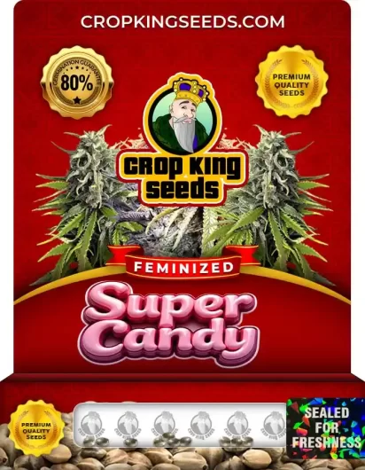 Super Candy Strain