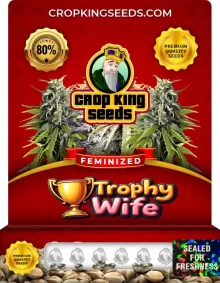 Trophy Wife Feminized