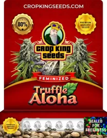Truffle Aloha Feminized