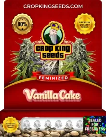 Vanilla Cake Feminized