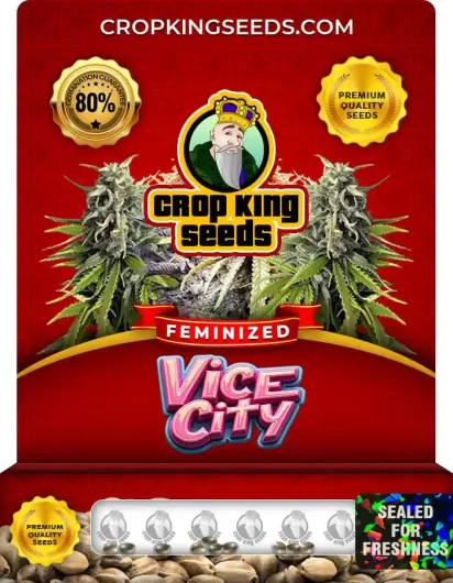 Vice City Feminized