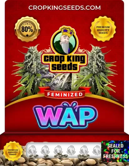 Wap Feminized