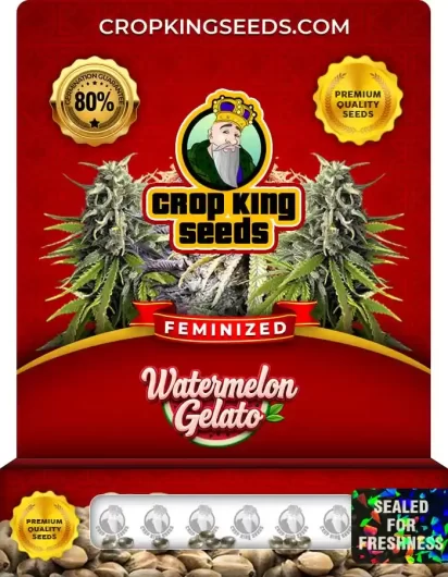 Watermelon Gelato Feminized