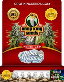 White Wedding Feminized
